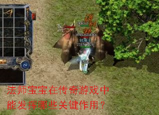 法师宝宝在传奇游戏中能发挥哪些关键作用? 法师宝宝在传奇游戏中能发挥哪些关键作用?