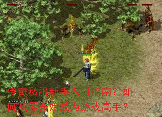 传奇私服新手入门指南?如何从零开始成为游戏高手? 传奇私服新手入门指南?如何从零开始成为游戏高手?