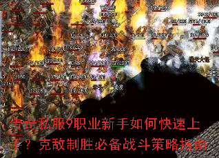 ����˽��9ְҵ������ο������֣��˵���ʤ�ر�ս������ָ��