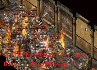 ��δӷ�����Ϯ�ɴ��񣿱�̬BOSSһ����ɱ���Խ���