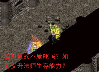 ��ʦ��Ĳ���PK�����������ʦ����������