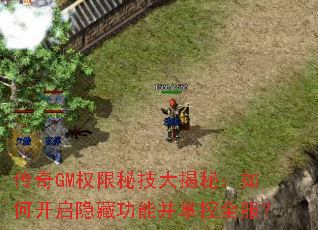 传奇GM权限秘技大揭秘:如何开启隐藏功能并掌控全服? 传奇GM权限秘技大揭秘:如何开启隐藏功能并掌控全服?