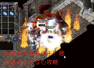 ��γ�ΪѪ��֮������Ϊ�����������Ĺ���