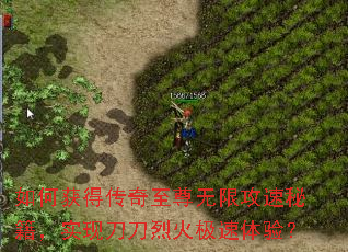 如何获得传奇至尊无限攻速秘籍,实现刀刀烈火极速体验? 如何获得传奇至尊无限攻速秘籍,实现刀刀烈火极速体验?