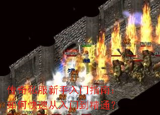 ����˽����������ָ�ϣ���ο��ٴ����ŵ���ͨ��