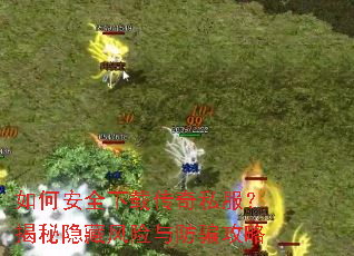 如何安全下载传奇私服?揭秘隐藏风险与防骗攻略 如何安全下载传奇私服?揭秘隐藏风险与防骗攻略