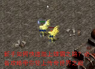 新手如何快速踏上雄霸之路?必备攻略带你登上传奇世界之巅 新手如何快速踏上雄霸之路?必备攻略带你登上传奇世界之巅