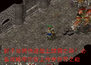 新手如何快速踏上雄霸之路?必备攻略带你登上传奇世界之巅 新手如何快速踏上雄霸之路?必备攻略带你登上传奇世界之巅