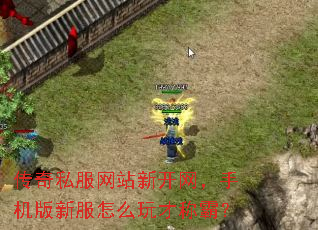 传奇私服网站新开网,手机版新服怎么玩才称霸? 传奇私服网站新开网,手机版新服怎么玩才称霸?