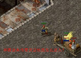 ������ʧ����ƾ֤��ͼ��ô���룿