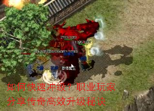 ��ο��ٳ弶��ְҵ��ҷ��������Ч�����ؾ�