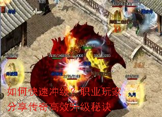 ��ο��ٳ弶��ְҵ��ҷ��������Ч�����ؾ�