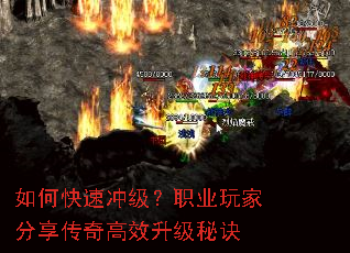 ��ο��ٳ弶��ְҵ��ҷ��������Ч�����ؾ�
