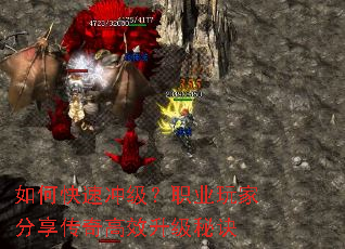 ��ο��ٳ弶��ְҵ��ҷ��������Ч�����ؾ�