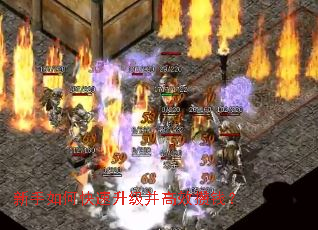 新手如何快速升级并高效攒钱? 新手如何快速升级并高效攒钱?