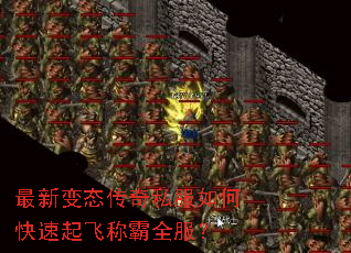 最新变态传奇私服如何快速起飞称霸全服? 最新变态传奇私服如何快速起飞称霸全服?
