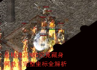 丛林迷宫NPC究竟藏身何处?完整坐标全解析 丛林迷宫NPC究竟藏身何处?完整坐标全解析