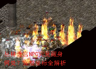 丛林迷宫NPC究竟藏身何处?完整坐标全解析 丛林迷宫NPC究竟藏身何处?完整坐标全解析