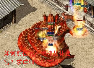 ���ǰ�����Ŵ�������Թ�������ϸ·�߹��ԡ�