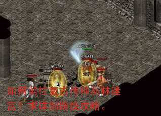 ���ǰ�����Ŵ�������Թ�������ϸ·�߹��ԡ�