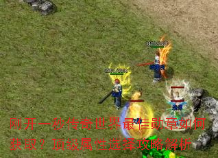 刚开一秒传奇世界最佳勋章如何获取?顶级属性选择攻略解析 刚开一秒传奇世界最佳勋章如何获取?顶级属性选择攻略解析