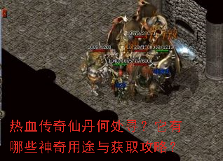 热血传奇仙丹何处寻?它有哪些神奇用途与获取攻略? 热血传奇仙丹何处寻?它有哪些神奇用途与获取攻略?
