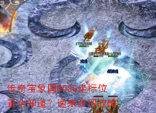 ���汦���BOSS����λ��ȫ֪����������ȡ����