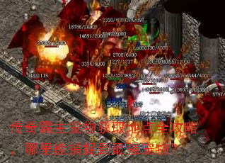 传奇霸主宠物获取地点全攻略,哪里能捕捉到最强宠物? 传奇霸主宠物获取地点全攻略,哪里能捕捉到最强宠物?