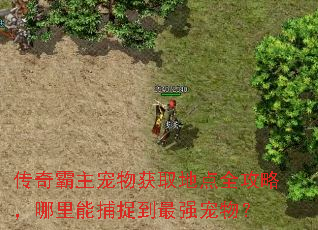 传奇霸主宠物获取地点全攻略,哪里能捕捉到最强宠物? 传奇霸主宠物获取地点全攻略,哪里能捕捉到最强宠物?
