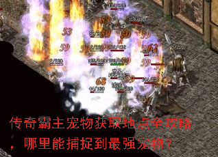 传奇霸主宠物获取地点全攻略,哪里能捕捉到最强宠物? 传奇霸主宠物获取地点全攻略,哪里能捕捉到最强宠物?