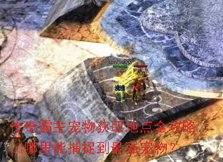 传奇霸主宠物获取地点全攻略,哪里能捕捉到最强宠物? 传奇霸主宠物获取地点全攻略,哪里能捕捉到最强宠物?