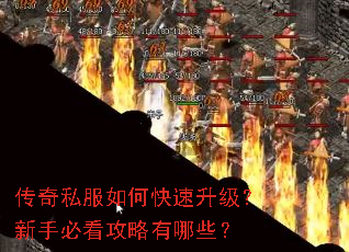 ����˽����ο������������ֱؿ���������Щ��