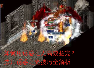 ������ջ�֮���Ч�г裿��ʦ�ջ�֮�⼼��ȫ����