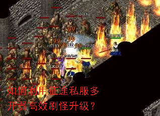 ���������;˽���࿪����Чˢ��������