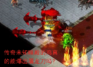 传奇未知暗殿的鸡真的能爆出屠龙刀吗? 传奇未知暗殿的鸡真的能爆出屠龙刀吗?