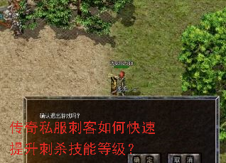 传奇私服刺客如何快速提升刺杀技能等级? 传奇私服刺客如何快速提升刺杀技能等级?