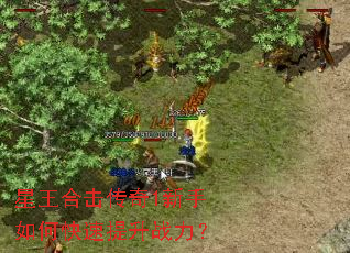 星王合击传奇1新手如何快速提升战力? 星王合击传奇1新手如何快速提升战力?