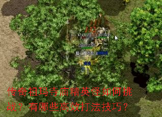传奇祖玛寺庙精英怪如何挑战?有哪些高效打法技巧? 传奇祖玛寺庙精英怪如何挑战?有哪些高效打法技巧?