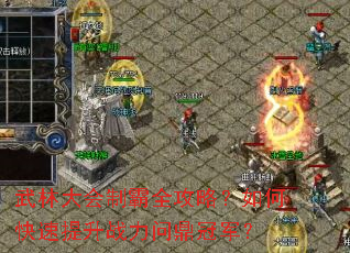武林大会制霸全攻略?如何快速提升战力问鼎冠军? 武林大会制霸全攻略?如何快速提升战力问鼎冠军?