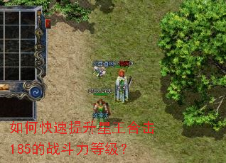 如何快速提升星王合击185的战斗力等级? 如何快速提升星王合击185的战斗力等级?