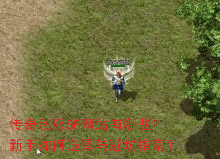 传奇私服SF网站有哪些?新手如何选择与避坑指南? 传奇私服SF网站有哪些?新手如何选择与避坑指南?