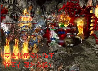 ���Ŵ���๳è��λ��������ô�ң�