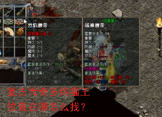 ���Ŵ���๳è��λ��������ô�ң�