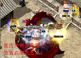 ���Ŵ���๳è��λ��������ô�ң�