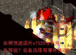 ��ο�������sf520�����ɫ�ȼ���װ��ѡ������Щ���ɣ�