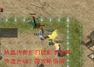 ��Ѫ���滳�ɰ�������ο�������������ָ��
