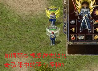 如何高效抓取遗失版传奇私服中的稀有怪物? 如何高效抓取遗失版传奇私服中的稀有怪物?