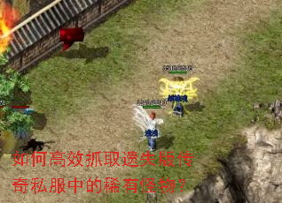 如何高效抓取遗失版传奇私服中的稀有怪物? 如何高效抓取遗失版传奇私服中的稀有怪物?