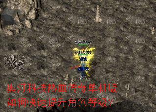 奥汀科技热血传奇单机版如何快速提升角色等级? 奥汀科技热血传奇单机版如何快速提升角色等级?