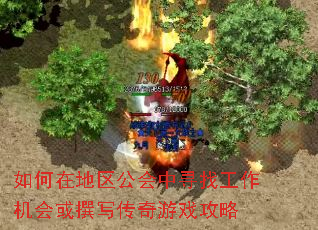 ����ڵ���������Ѱ�ҹ��������׫д������Ϸ����